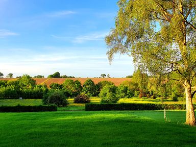 A green lawn with trees and hedges under a blue sky at Packway Barn in Halesworth