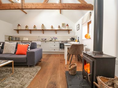 An open kitchen and living area with a wood burning stove and a grey sofa with cushions at The Nook in Chediston near Halesworth