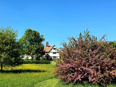 A house with a tiled roof behind flowering trees and a grassy field at Twosome in Chediston near Halesworth