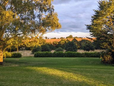 A grassy garden area with trees and a swing at Twosome in Chediston near Halesworth