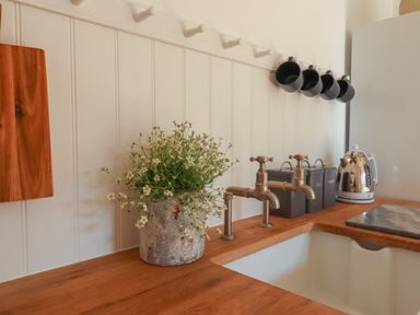 A kitchen countertop with a sink two taps a flower pot three containers labeled tea coffee and sugar a kettle and five black mugs hanging at The Apple Shed in Upexe near Silverton