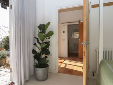 A corner of a room with a potted plant by a curtain next to an open door showing a hallway with wooden floor and a round mirror at The Apple Shed in Upexe near Silverton