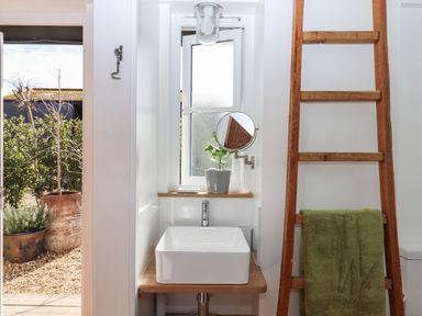 A bathroom sink with a small plant on the windowsill and a wooden towel ladder with a green towel at The Apple Shed in Upexe near Silverton