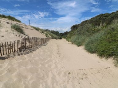 A sandy path between sand dunes with wooden fences and grassy vegetation under a blue sky at Bohan Bo in Tinteskin near Kilmuckridge County Wexford