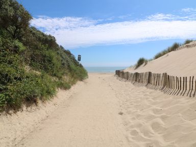 A sandy pathway between dunes and vegetation leading to the beach at Bohan Bo in Tinteskin near Kilmuckridge County Wexford