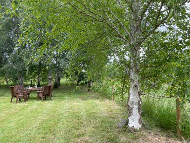 A garden with wooden table and chairs under trees at Harvest Moon Cottage in Much Cowarne