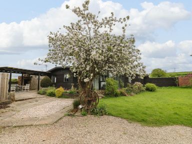 A garden with a blooming tree and a dark wood house with a patio at The Lodge at Wildersley Farm in Belper