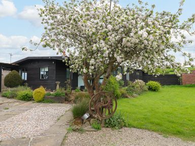 A blooming tree in front of a dark wooden house with a cobblestone path and green lawn at The Lodge at Wildersley Farm in Belper