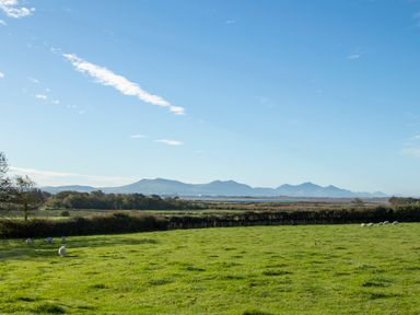 A green pasture with grazing sheep and distant mountains under a blue sky at Tal Sarn Shepherd Hut in Dwyran near Niwbwrch Newborough