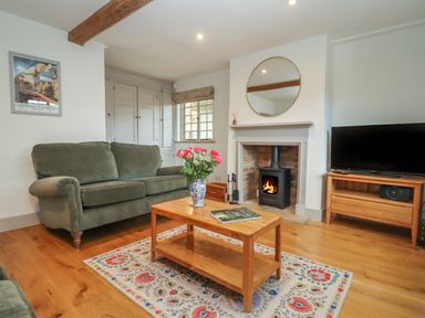 A living room with green sofas a wooden coffee table a burning fireplace and a television at Blossom Cottage in Chipping Campden