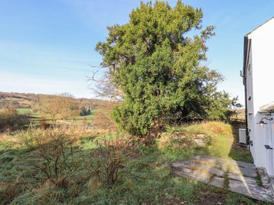An outdoor area with a large tree grassy ground stone steps and part of a white building at Green Yew Winster near Bowness-On-Windermere