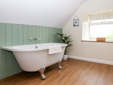 A bathroom with a white freestanding clawfoot bathtub a green paneled wall a potted plant and a window at Nempnett Farmhouse in Nempnett Thrubwell near Blagdon
