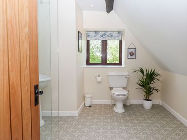 A bathroom with a toilet a potted plant a window with a blind and a wooden door at Nempnett Farmhouse in Nempnett Thrubwell near Blagdon