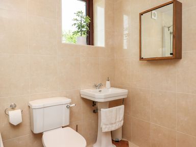 A bathroom with a toilet, pedestal sink, wall mirror cabinet, and a small plant on the window at Nempnett Farmhouse in Nempnett Thrubwell near Blagdon