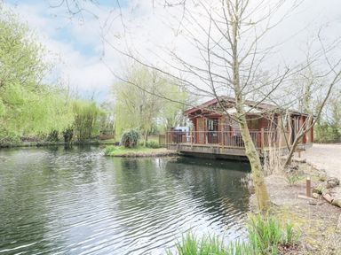 A wooden cabin on stilts beside a pond with trees and greenery at Kingfisher Lodge in Badwell Ash