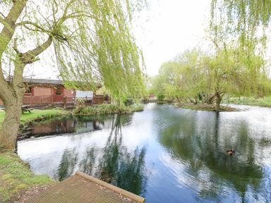 A pond with ducks near a wooden cabin and weeping willow trees at Kingfisher Lodge in Badwell Ash