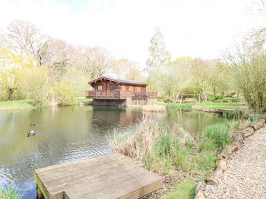 A wooden cabin on stilts over a pond with ducks and surrounded by trees at Wagtail Lodge in Badwell Ash