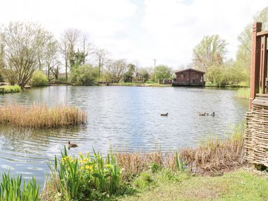 A pond with ducks swimming near plants and a wooden cabin in the background at Wagtail Lodge in Badwell Ash