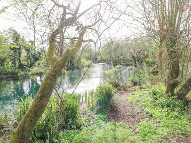 A pond surrounded by trees and greenery at Wagtail Lodge in Badwell Ash