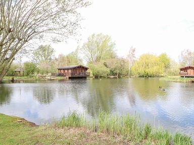 A pond with ducks and wooden lodges surrounded by trees and grass at Woodpecker Lodge in Badwell Ash