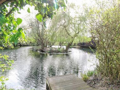 A pond with an island of trees and a wooden deck at Woodpecker Lodge in Badwell Ash