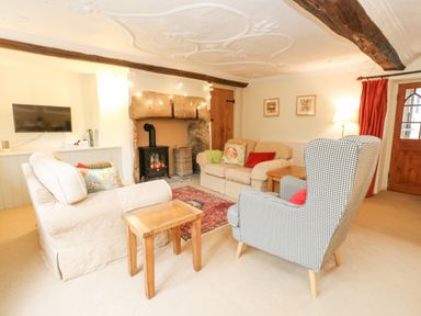 A living room with armchairs a fireplace a rug and a television at The Elbow in Frampton