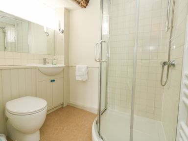 A bathroom with a toilet, sink, towel rack, and a glass shower enclosure at The Elbow in Frampton