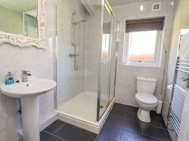 A bathroom with a shower, sink, and toilet at The Red in Llanerch Park near St Asaph
