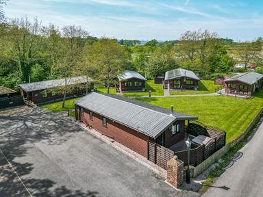 A cluster of wooden lodges with paths and green lawns surrounded by trees at The Fallows in Llanerch Park near St Asaph