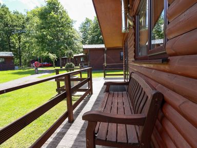 An outdoor area with a wooden bench and pathway at The Roe in Llanerch Park near St Asaph