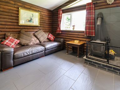 A snug with a sofa and a fireplace at The Roe in Llanerch Park near St Asaph