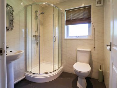 A bathroom with a shower, toilet, and sink at The Roe in Llanerch Park near St Asaph