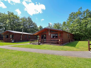 A log cabin with outdoor furniture and pathway at The Roe in Llanerch Park near St Asaph