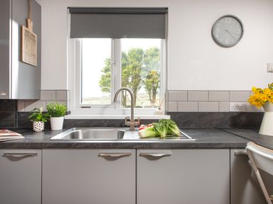 A kitchen sink with vegetables on the countertop and plants near the window at Wheal Prosper Lodge in Wendron near Helston