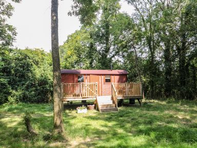 A wooden shepherds hut with a small porch and stairs in a grassy clearing surrounded by trees at The Foxes Den Shepherds Hut Oldbury-On-Severn