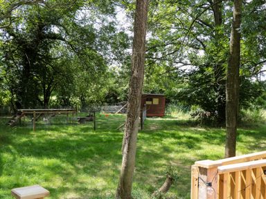 A fenced grassy garden area with trees and a wooden shed in the background at The Foxes Den Shepherds Hut Oldbury-On-Severn