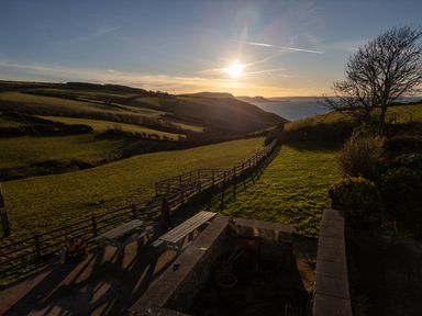 A grassy field with wooden fences benches and a tree at Crogal Farmhouse in New Quay