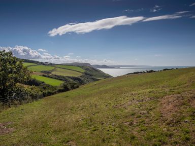 A grassy hillside with sheep overlooking the sea and green fields at Sea the Stars in New Quay