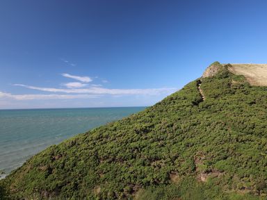 A coastal hill covered with green shrubs overlooking the sea under a blue sky at Sea the Stars in New Quay