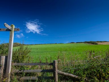 A green field with a wooden fence and signpost under a blue sky at Sea the Stars in New Quay