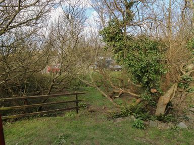 An outdoor area with leafless trees and a wooden fence with some green plants at Sea the Stars in New Quay
