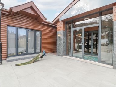 An entrance to Marian Resort and Spa with glass doors and a peacock standing outside