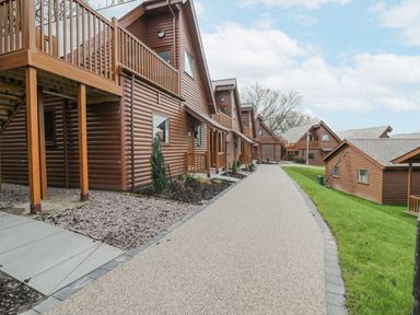 A pathway with grass and multiple wooden lodges on both sides at Classic Lodge 25 in Dyserth
