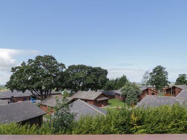 A group of wooden lodges with pitched roofs surrounded by trees and greenery at Premier Lodge 41 in Dyserth
