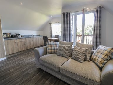 A living area with a sofa and cushions next to a window and open door with curtains and a kitchen area with cabinets and appliances at Premier Lodge 41 in Dyserth