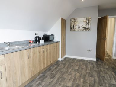 A kitchenette with wooden cabinets a sink kettle microwave cups and a painting of deer on the wall at Classic Lodge 15 in Dyserth