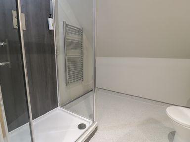 A bathroom with a glass shower enclosure a wall-mounted towel radiator and a toilet at Classic Lodge 15 in Dyserth