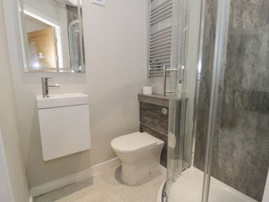 A bathroom with a sink vanity, toilet, shower enclosure, and towel radiator at Luxury Lodge 46 in Dyserth