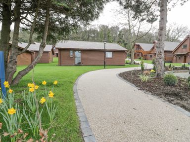A pathway with grass and yellow flowers next to wooden lodges at Luxury Lodge 46 in Dyserth