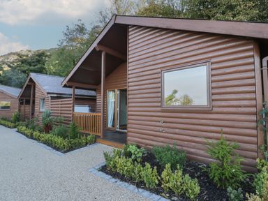 A row of wooden log cabins with small porches and garden beds along a gravel path at Luxury Lodge 53 in Dyserth